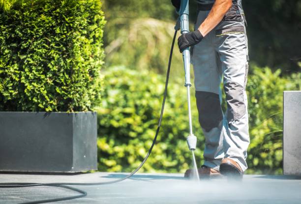 Best Driveway Pressure Washing  in Elizabethtown, KY